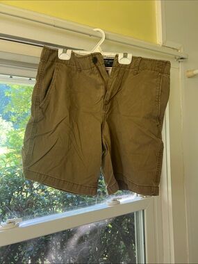 American Eagle Outfitters Brown Flat-Front Chino Shorts